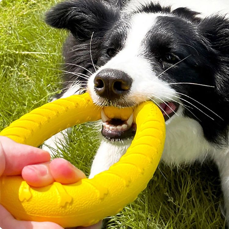​EVA Pet Ring Toy